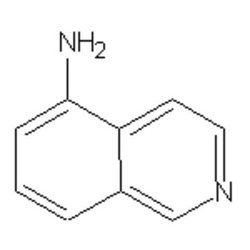 Accela Chembio Inc 5-aminoisoquinoline | 25g | 1125-60-6 | MFCD00006907
