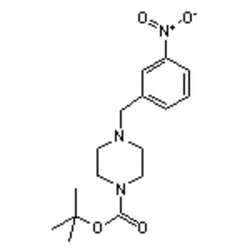 Accela Chembio Inc 1-boc-4-(3-nitrobenzyl)piperazine | 1g | 203047-33-0