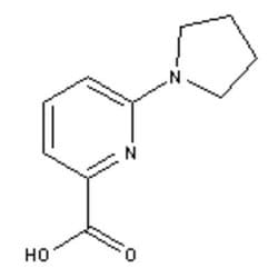 Accela Chembio Inc 6-(1-pyrrolidyl)pyridine-2-carboxylic Acid | 1g | 450368-20-4