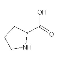 Accela Chembio Inc Dl-proline | 100g | 609-36-9 | MFCD00005250 | 98% |