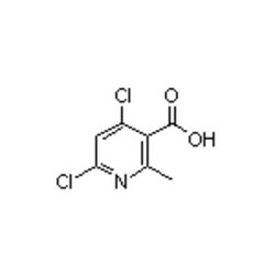 Accela Chembio Inc 4 | 6-dichloro-2-methylnicotinic Acid | 0.25g | 693286-31-6