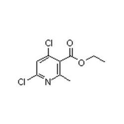 Accela Chembio Inc Ethyl 4 | 6-dichloro-2-methylnicotinate | 1g | 686279-09-4