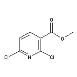 Accela Chembio Inc Methyl 2 | 6-dichloronicotinate | 5g | 65515-28-8 |