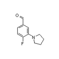Accela Chembio Inc 4-fluoro-3-pyrrolidinobenzaldehyde | 25g | 1197193-31-9