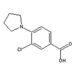 Accela Chembio Inc 3-chloro-4-pyrrolidinobenzoic Acid | 5g | 585517-09-5