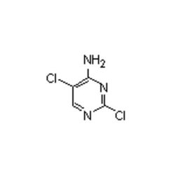Accela Chembio Inc 4-amino-2 | 5-dichloropyrimidine | 5g | 89180-51-8 |
