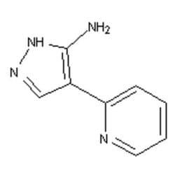 Accela Chembio Inc 5-amino-4-(2-pyridyl)pyrazole | 5g | 493038-87-2 | MFCD03617434