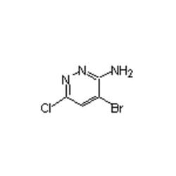 Accela Chembio Inc 3-amino-4-bromo-6-chloropyridazine | 1g | 446273-59-2