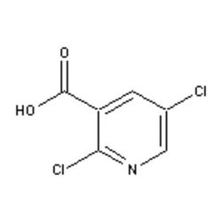 Accela Chembio Inc 2 | 5-dichloronicotinic Acid | 5g | 59782-85-3 | MFCD01861979