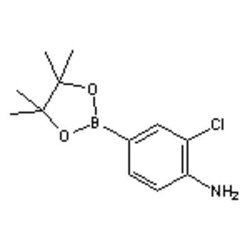 Accela Chembio Inc 4-amino-3-chlorophenylboronic Acid Pinacol Ester | 1g