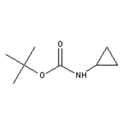 Accela Chembio Inc N-boc-cyclopropylamine | 25g | 132844-48-5 | MFCD09701238