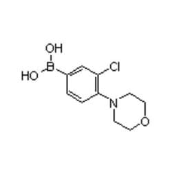 Accela Chembio Inc 3-chloro-4-morpholinophenylboronic Acid | 1g | 1426246-59-4