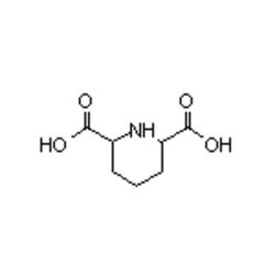 Accela Chembio Inc Piperidine-2 | 6-dicarboxylic Acid | 1g | 499-82-1 |