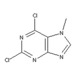 Accela Chembio Inc&nbsp;2 | 6-dichloro-7-methylpurine |  5g |  2273-93-0 |  MFCD00039690 |  97+% |  Shelf Life: 1440 Days |  Light Sensitive