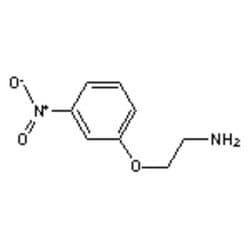 Accela Chembio Inc 2-(3-nitrophenoxy)ethylamine | 1g | 26646-35-5 | MFCD12824702