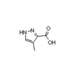 Accela Chembio Inc 4-methylpyrazole-3-carboxylic Acid | 25g | 82231-51-4
