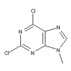 Accela Chembio Inc 2 | 6-dichloro-9-methyl-9h-purine | 5g | 2382-10-7 |
