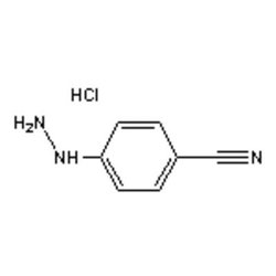 Accela Chembio Inc 4-cyanophenylhydrazine Hydrochloride | 25g | 2863-98-1