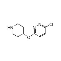 Accela Chembio Inc 3-chloro-6-(4-piperidyloxy)pyridazine | 1g | 1185536-63-3