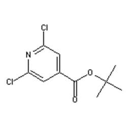Accela Chembio Inc Tert-butyl 2 | 6-dichloropyridine-4-carboxylate | 1g