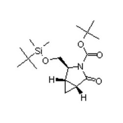 Accela Chembio Inc (1s | 2s | 5r)-3-boc-2-[(tert-butyldimethylsilyloxy)methyl]-4-oxo-3-azabicyclo[3.1.0]hexane
