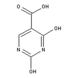 Accela Chembio Inc&nbsp;2 | 4-dihydroxypyrimidine-5-carboxylic Acid |  25g |  23945-44-0 |  MFCD00075737 |  97+% |  Shelf Life: 1260 Days |  Light Sensitive