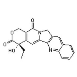 Accela Chembio Inc (s)-4-ethyl-4-hydroxy-1h-pyrano[3' | 4':6 | 7]indolizino[1 | 2-b]quinoline-3 | 14-(4h | 12h)-dione |  1g |  7689-03-4 |  MFCD00081076 |  95+% |  Shelf Life: 1620 Days |  Light Sensitive/+4