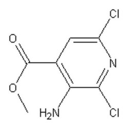 Accela Chembio Inc Methyl 3-amino-2 | 6-dichloroisonicotinate | 5g | 458543-81-2