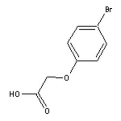 Accela Chembio Inc 4-bromophenoxyacetic Acid | 100g | 1878-91-7 | MFCD00093070
