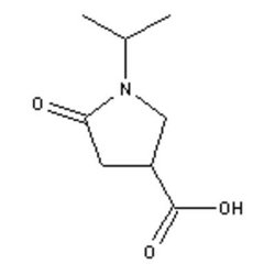 Accela Chembio Inc 1-isopropyl-2-oxopyrrolidine-4-carboxylic Acid | 5g