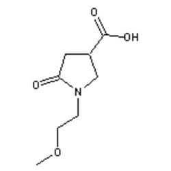 Accela Chembio Inc 1-(2-methoxyethyl)-2-oxopyrrolidine-4-carboxylic Acid