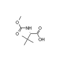 Accela Chembio Inc N-methoxycarbonyl-l-tert-leucine | 25g | 162537-11-3