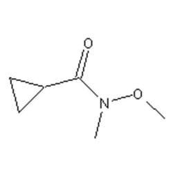 Accela Chembio Inc N-methoxy-n-methylcyclopropanecarboxamide | 1g | 147356-78-3