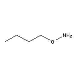 Accela Chembio Inc O-butylhydroxylamine | 1g | 5622-77-5 | MFCD07473528