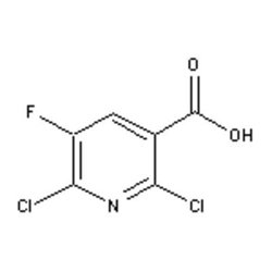 Accela Chembio Inc 2 | 6-dichloro-5-fluoropyridine-3-carboxylic Acid |