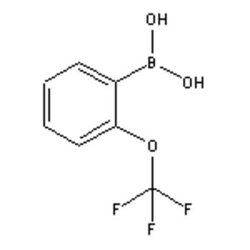 Accela Chembio Inc 2-(trifluoromethoxy)phenylboronic Acid | 25g | 175676-65-0