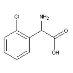 Accela Chembio Inc 2-(2-chlorophenyl)glycine | 100g | 88744-36-9 | MFCD00049324