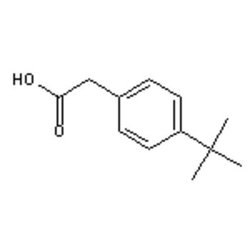Accela Chembio Inc 4-tert-butylphenylacetic Acid | 5g | 32857-63-9 | MFCD00082593