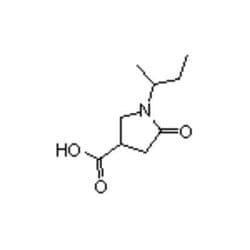 Accela Chembio Inc 1-sec-butyl-5-oxopyrrolidine-3-carboxylic Acid | 5g