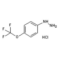 Accela Chembio Inc&nbsp;4-(trifluoromethoxy)phenylhydrazine Hydrochloride |  25g |  133115-72-7 |  MFCD00053033 |  97+% |  Shelf Life: 1260 Days |  N2