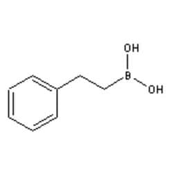 Accela Chembio Inc MF: C8H11O2B |  MW: 149.98 |  ?98% |  Flash Point: 141.5?.