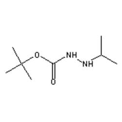 Accela Chembio Inc 1-boc-2-isopropylhydrazine | 5g | 16689-35-3 | MFCD14635748