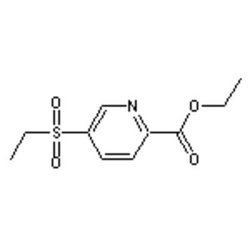Accela Chembio Inc Ethyl 5-(ethylsulfonyl)pyridine-2-carboxylate | 5g |