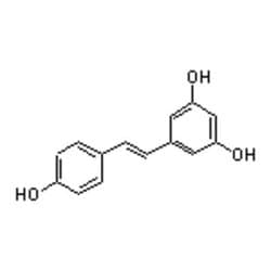 Accela Chembio Inc Resveratrol | 100g | 501-36-0 | MFCD00133799 | 98% |