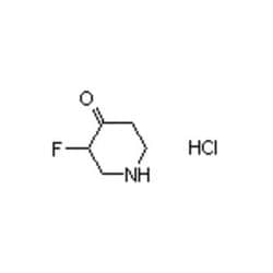 Accela Chembio Inc 3-fluoro-4-piperidone Hydrochloride | 1g | 1070896-59-1