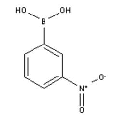 Accela Chembio Inc 3-nitrophenylboronic Acid | 25g | 13331-27-6 | MFCD00007193