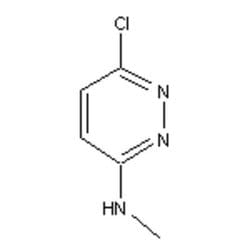 Accela Chembio Inc 3-chloro-6-(methylamino)pyridazine | 1g | 14959-32-1