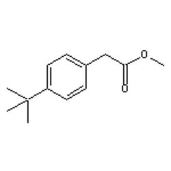 Accela Chembio Inc Methyl 4-tert-butylphenylacetate | 100g | 3549-23-3
