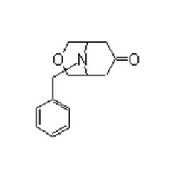 Accela Chembio Inc 9-benzyl-3-oxa-9-azabicyclo[3.3.1]nonan-7-one | 1g |