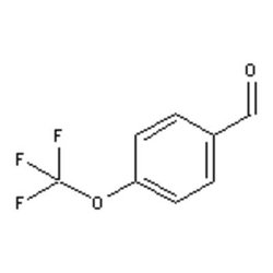 Accela Chembio Inc&nbsp;4-(trifluoromethoxy)benzaldehyde |  100g |  659-28-9 |  MFCD00041530 |  96% |  D: 1.331 |  Shelf Life: 900 Days |  Light Sensitive/air Sensitive/+4